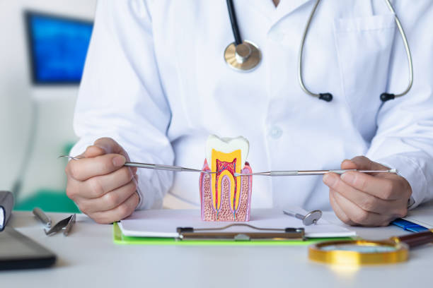 Best Emergency Dental Care for Abscessed Tooth in West Park, FL
